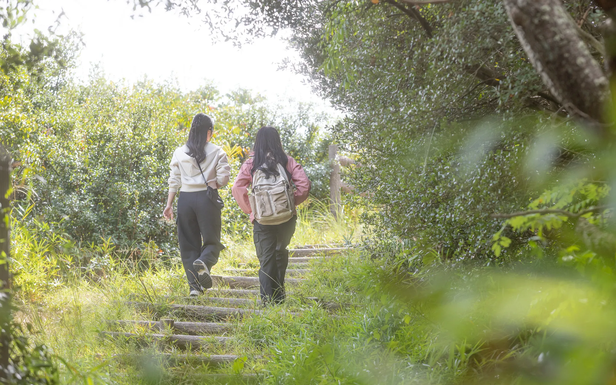 道中は坂道や階段もあります