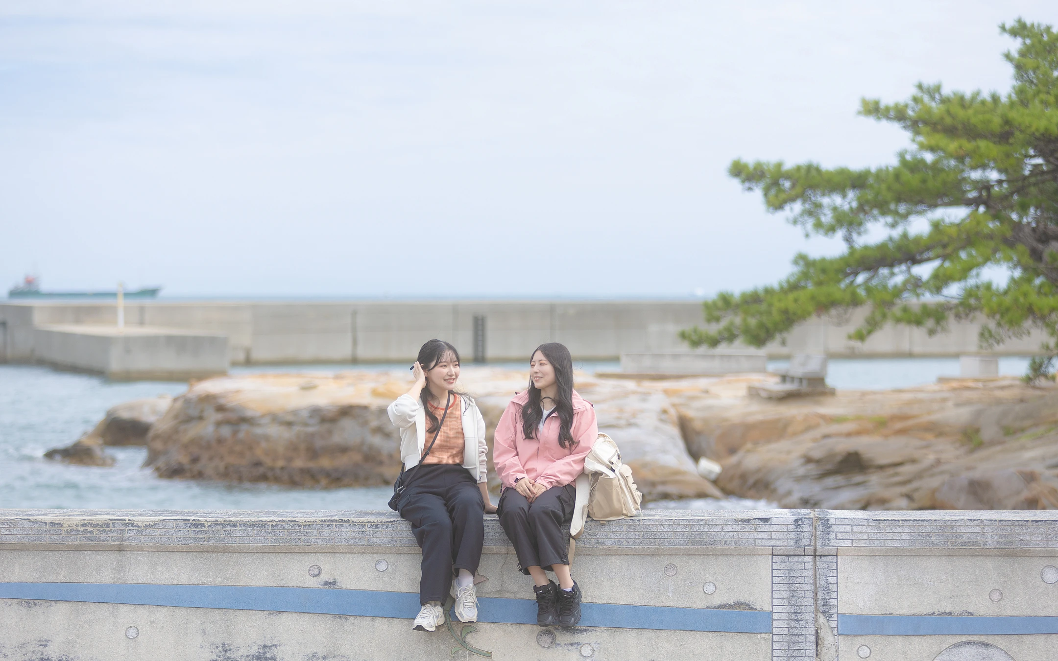 岩屋ポートターミナル