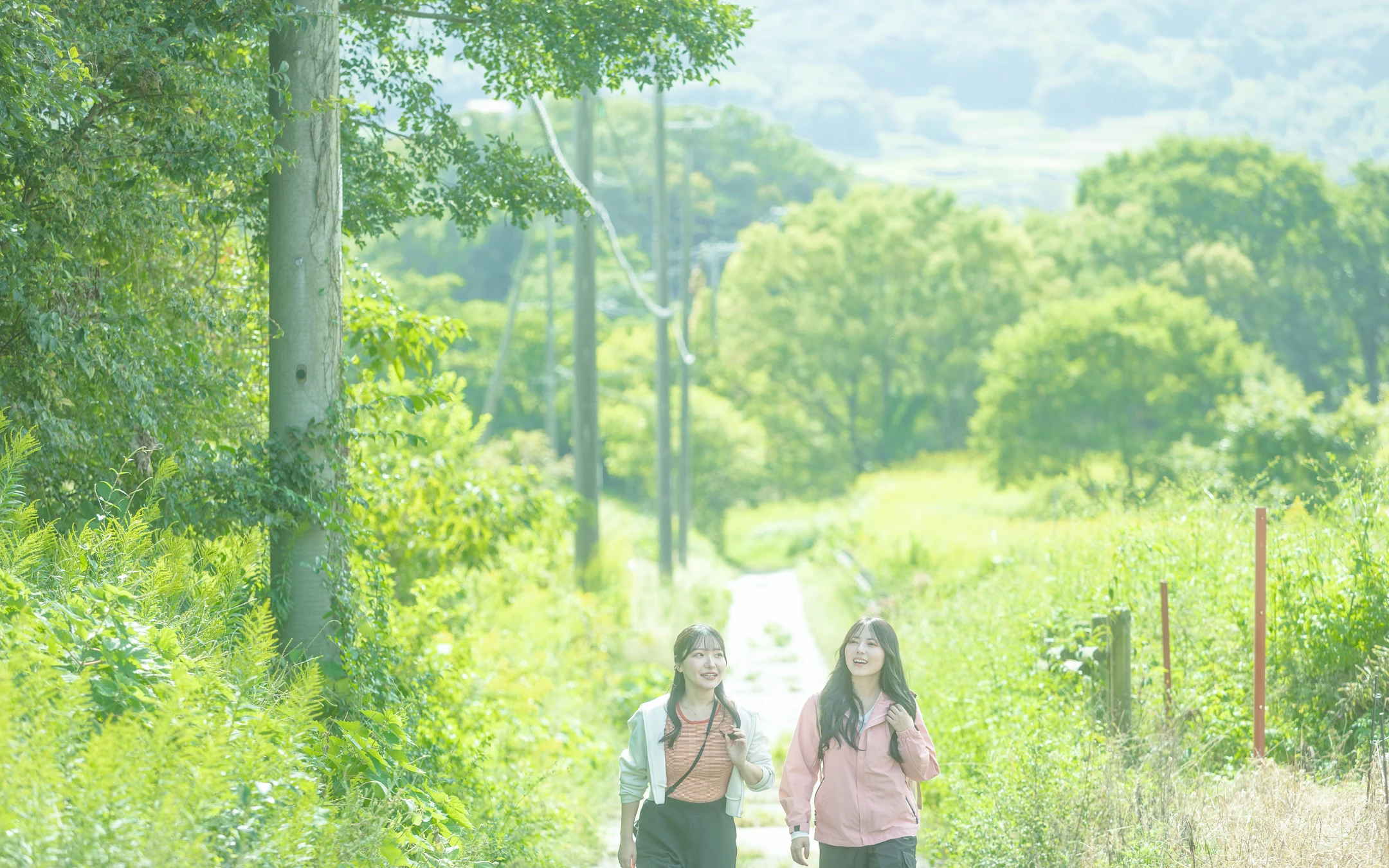 道中にはフォトジェニックな景色も!