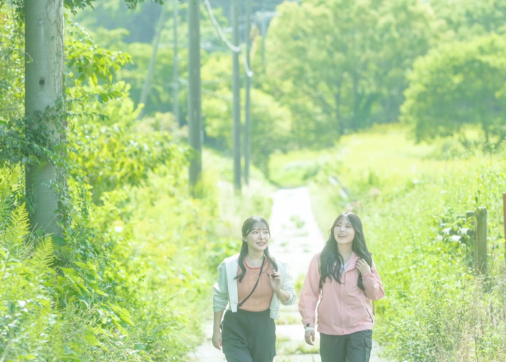 道中にはフォトジェニックな景色も!