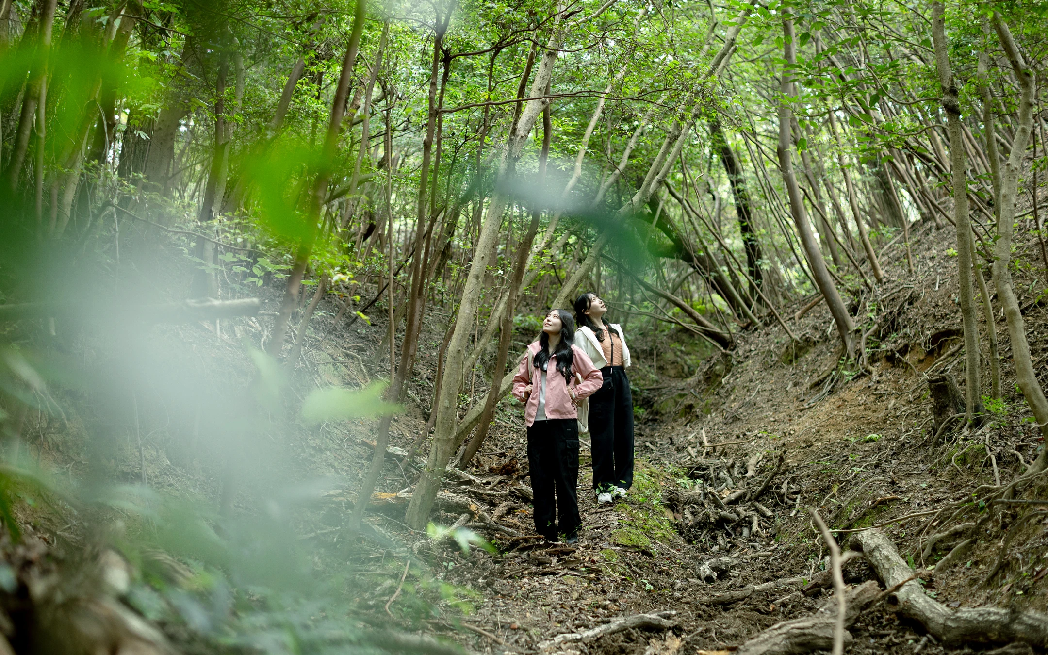 緑に包まれた小径へ