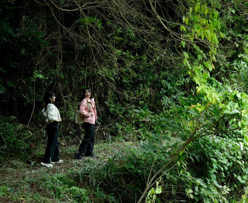 緑に包まれた小径へ