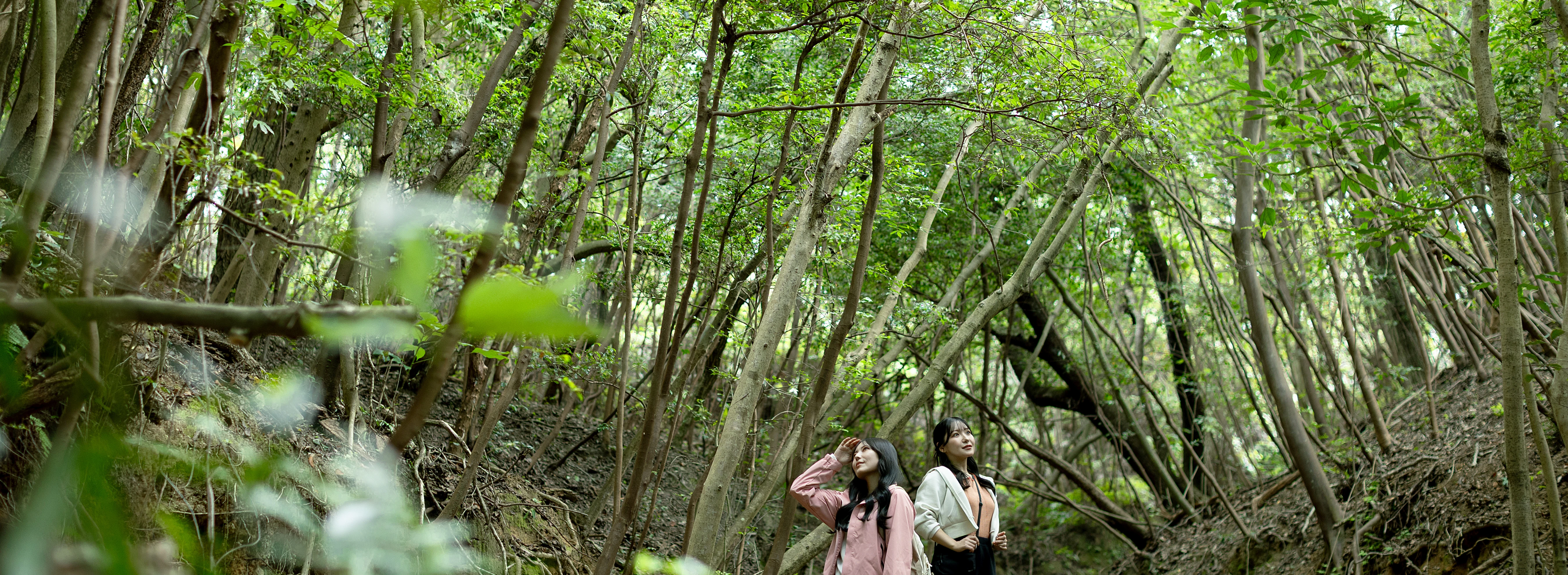 岩屋港から北淡震災記念公園 ⾥⼭の隠れ道